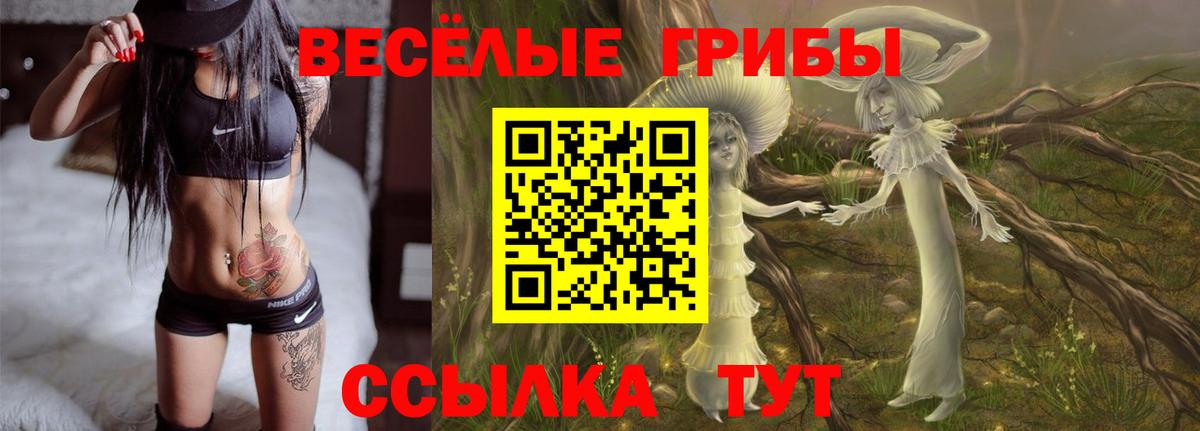 Псилоцибиновые грибы прущие грибы  Галлюциногенные грибы MAGIC MUSHROOMS  Вышний Волочёк  Вход с VPN 